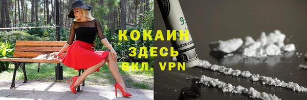 крисы Арсеньев