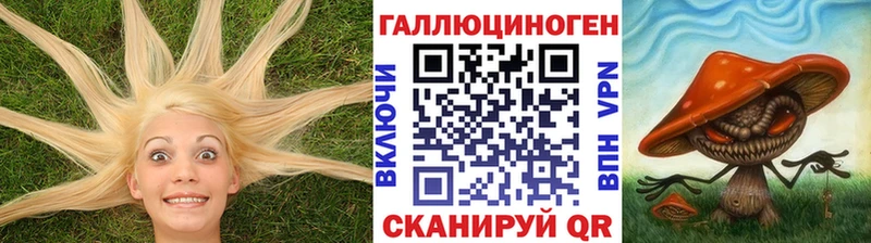 Псилоцибиновые грибы мицелий Грайворон